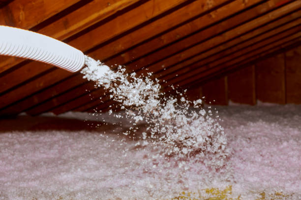 Best Blown-in Insulation  in USA