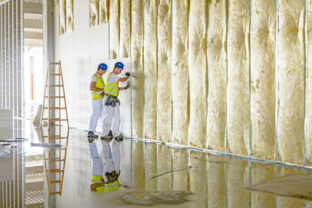 Best Insulation Repair Services  in USA